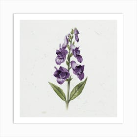 Purple Foxglove Art Print