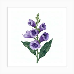 Foxglove Art Print