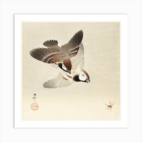 Ring Sparrows And Insect (1900 1936), Ohara Koson Art Print