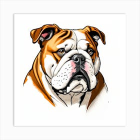 Bulldog Art Print