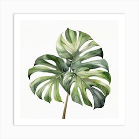 Large Monstera leaf 11 Art Print