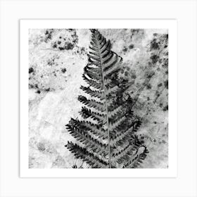 Fern Leaf Art Print