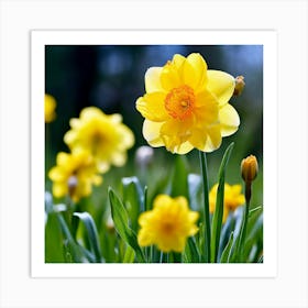 Garden Blossom Summer Grass Bloom Green Buttercup Meadow Field Spring Beautiful Yellow B (1) Art Print