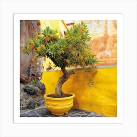 Olive Tree In Yellow (Ii) Art Print