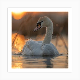 Sunset Swan Art Print