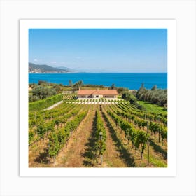 Vineyards In Greece Art Print