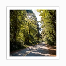 The beauty of the road in the forest Art Print