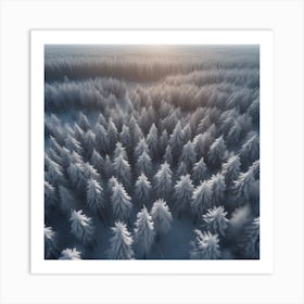 Winter Forest With Visible Horizon And Stars From Above Drone View Perfect Composition Beautiful (5) Art Print