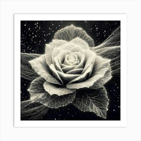 Black And White Rose Art Print