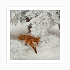 Red Fox In The Snow Art Print