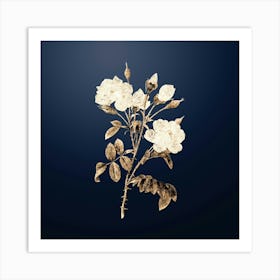 Gold Botanical White Rose on Midnight Navy n.4833 Art Print