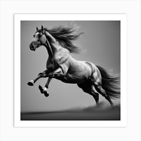 Close Up Of The Horse In Gallop Black And White Still Digital Art Perfect Composition Beautiful (2) Art Print