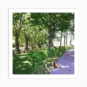 Cat In The Park Art Print