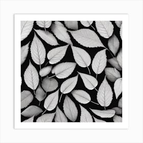 Black And White Leaves 1 Art Print