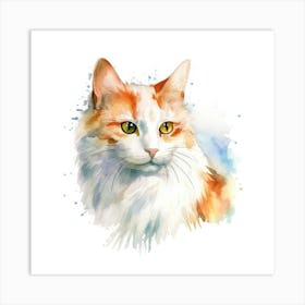 Turkish Van Cat Portrait 3 Art Print