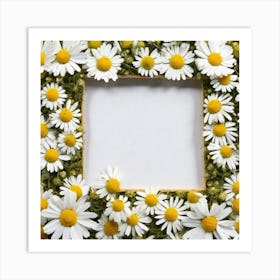 Frame Of Daisies 1 Art Print