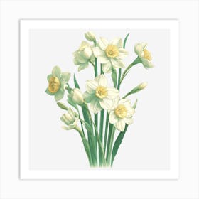 Narcissus Art Print