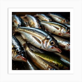 Sardines Art Print