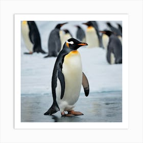 King Penguins Art Print