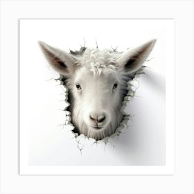 Cute Sheep Art Print