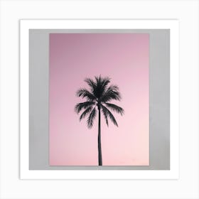 Solitary Serenity: Pink Palm 6 Art Print