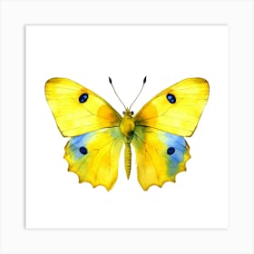 Yellow Butterfly Art Print