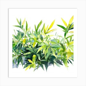 Bamboo Watercolor Art Print