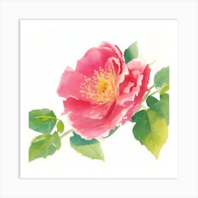 Wild Rose Painted In Watercolor Art Print