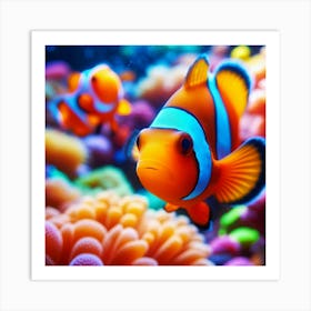 Clown Fish Art Print