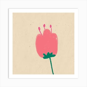 Pink Tulip Art Print