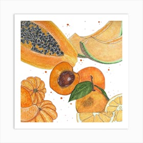 Orange Fruits 1 Art Print
