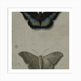 Two Butterflies 1 Art Print