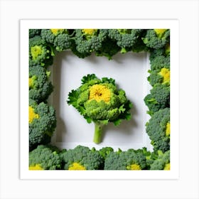 Florets Of Broccoli 26 Art Print