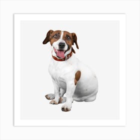 Jack Russell Terrier Art Print