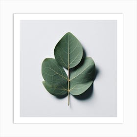 Eucalyptus Leaf 6 Art Print