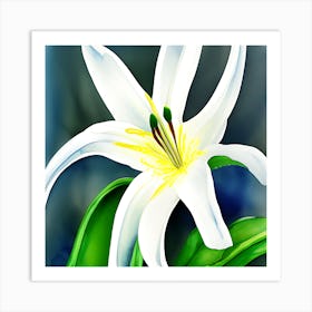 White Lilly 2 Art Print