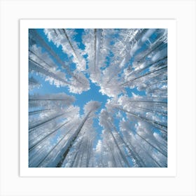 Looking Up In The Snow Art Print