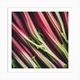 Rhubarb 97 Art Print