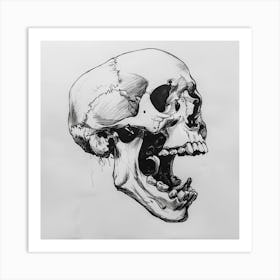 Skull Drawing 1 Art Print