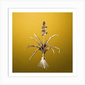 Gold Botanical Scilla Patula on Mango Yellow n.4574 Art Print