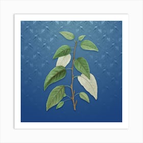 Vintage Balsam Poplar Leaves Botanical on Bahama Blue Pattern n.0234 Art Print