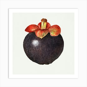 Guava Fruit 1 Art Print