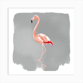 Flamingo 17 Art Print