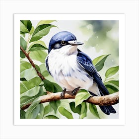 Bird Swallow Art Print