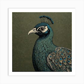 Peacock 7 Art Print