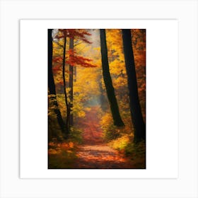 Autumn Path 2 Art Print