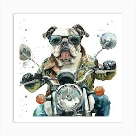 Bulldog On A Motorcycle Art Print