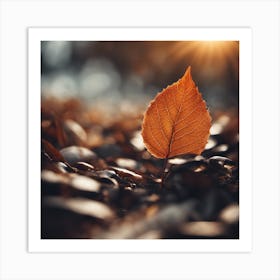 Autumn Leaf On The Ground 1 Art Print