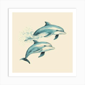 Dolphins Affiche