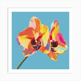 Orchids 9 Art Print